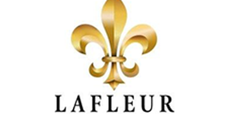 LaFleur Minerals Announces Non-Brokered Private Placement for Gross Proceeds of up to C$1,000,000